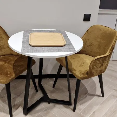 Soprano Levyckogo 35 Apartamento Leópolis